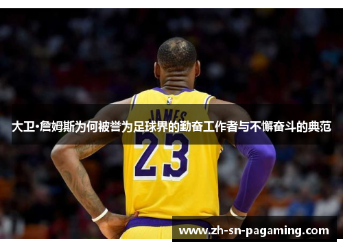 大卫·詹姆斯为何被誉为足球界的勤奋工作者与不懈奋斗的典范 大卫·詹姆斯为何被誉为足球界的勤奋工作者与不懈奋斗的典范