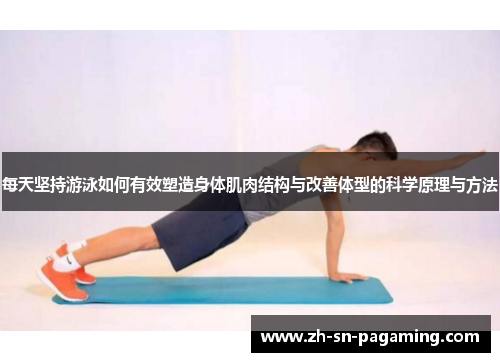 每天坚持游泳如何有效塑造身体肌肉结构与改善体型的科学原理与方法 每天坚持游泳如何有效塑造身体肌肉结构与改善体型的科学原理与方法
