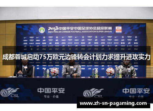成都蓉城启动75万欧元边锋转会计划力求提升进攻实力 成都蓉城启动75万欧元边锋转会计划力求提升进攻实力