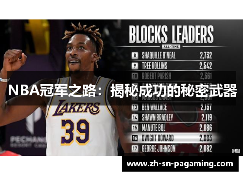 NBA冠军之路:揭秘成功的秘密武器 NBA冠军之路:揭秘成功的秘密武器