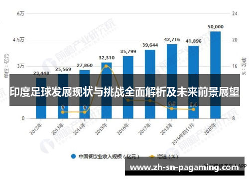 印度足球发展现状与挑战全面解析及未来前景展望 印度足球发展现状与挑战全面解析及未来前景展望