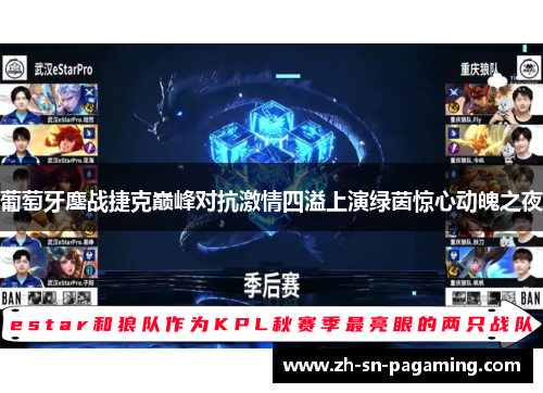 葡萄牙鏖战捷克巅峰对抗激情四溢上演绿茵惊心动魄之夜 葡萄牙鏖战捷克巅峰对抗激情四溢上演绿茵惊心动魄之夜