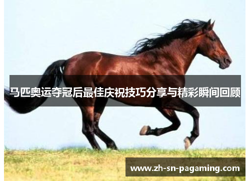 马匹奥运夺冠后最佳庆祝技巧分享与精彩瞬间回顾 马匹奥运夺冠后最佳庆祝技巧分享与精彩瞬间回顾