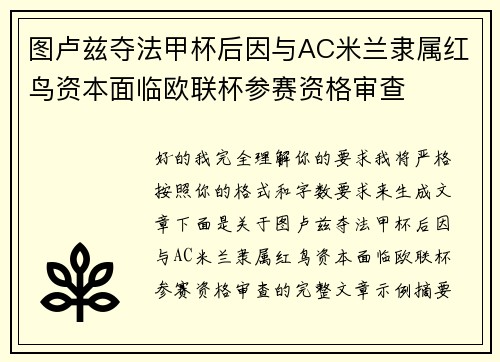 图卢兹夺法甲杯后因与AC米兰隶属红鸟资本面临欧联杯参赛资格审查
